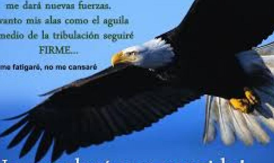 La salud de nuestros animales y la nuestra depende de ello. ¡No esperemos a que sea demasiado tarde!