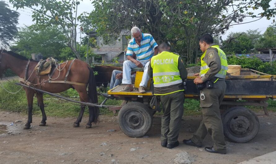 Protegiendo a los caballos: la propuesta de cosos municipales en Colombia