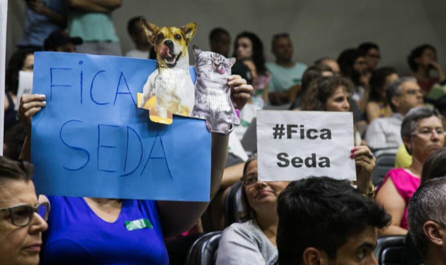 Salvemos a la SEDA: Protegiendo los derechos de los animales en Brasil
