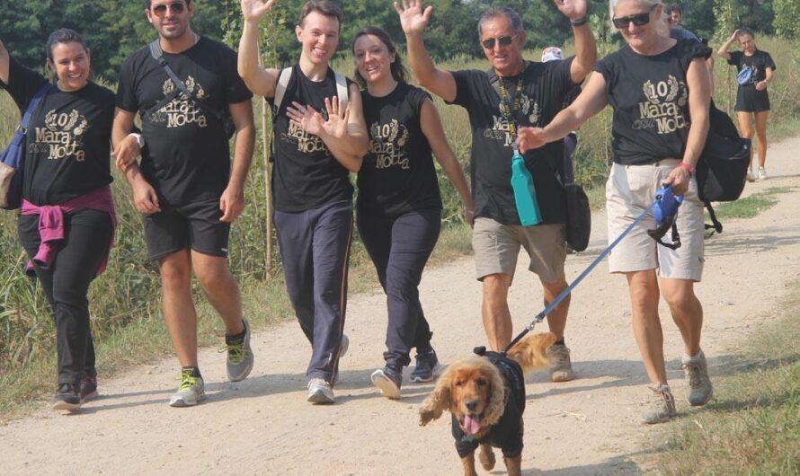 «¡Un nuevo parque para perros en Italia! La campaña se hace viral para darles a nuestras mascotas un lugar seguro para divertirse.