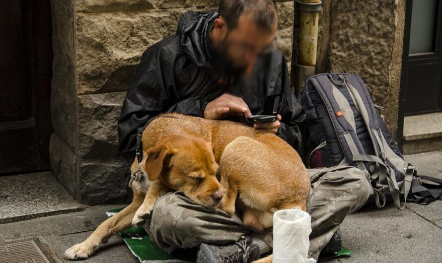 Refugio para los que están con sus mascotas en situación de calle