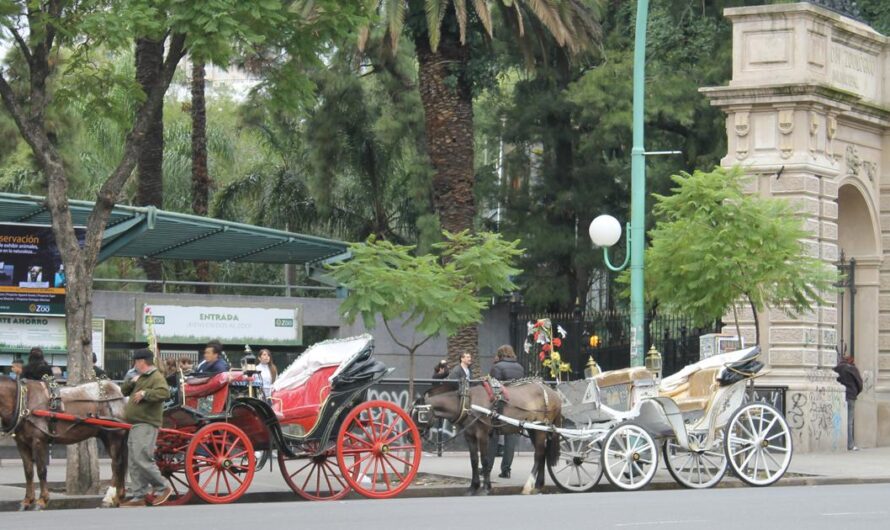 Que retiren a los caballos de los Mateos y los lleven a algún refugio