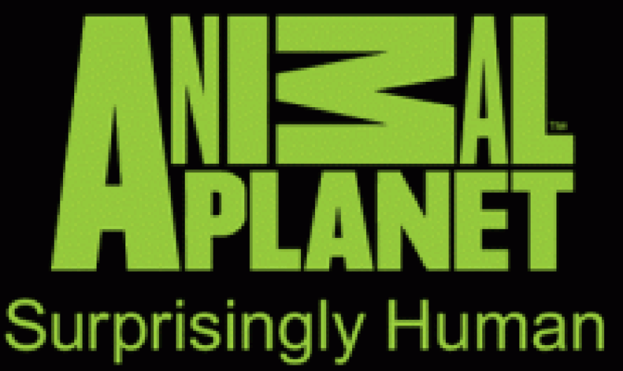 Animal Planet bajo fuego: Amantes de los animales exigen un cambio en la programación del canal