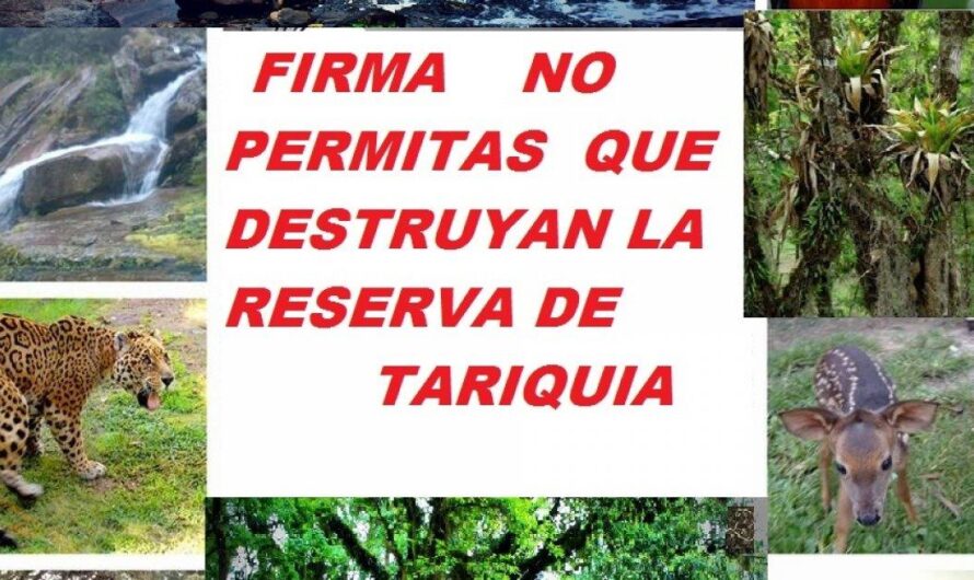 Comunidad de Entre Ríos se une para discutir la protección de la Reserva Natural de Tariquía ante posible explotación petrolera