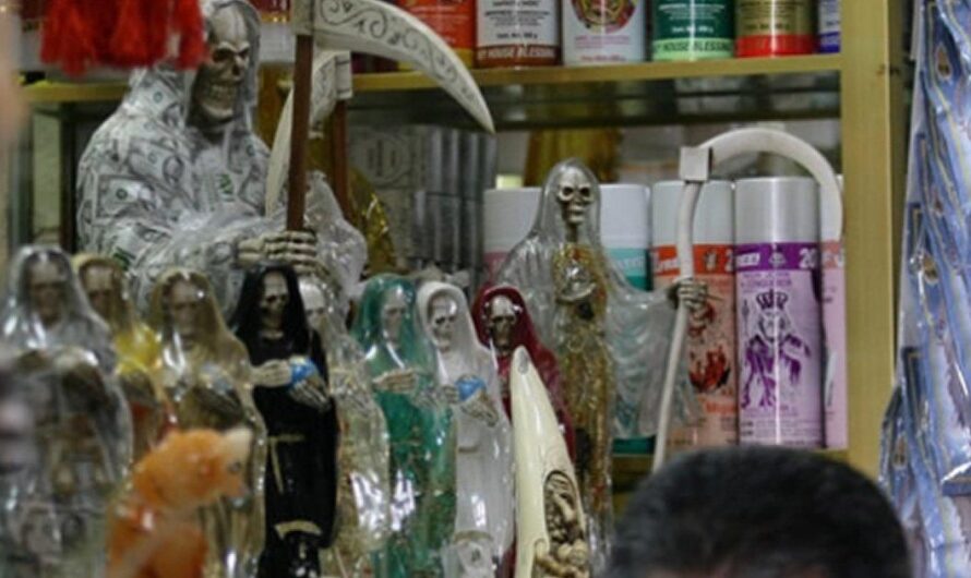Descubriendo la cruda verdad detrás del Mercado de Sonora: maltrato animal en la magia y la santería en México