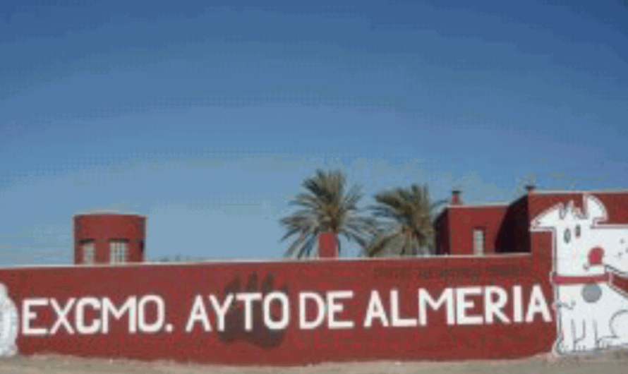 El drama de las perreras en Almería: miles de animales abandonados sufren y mueren por falta de recursos y sobrepoblación