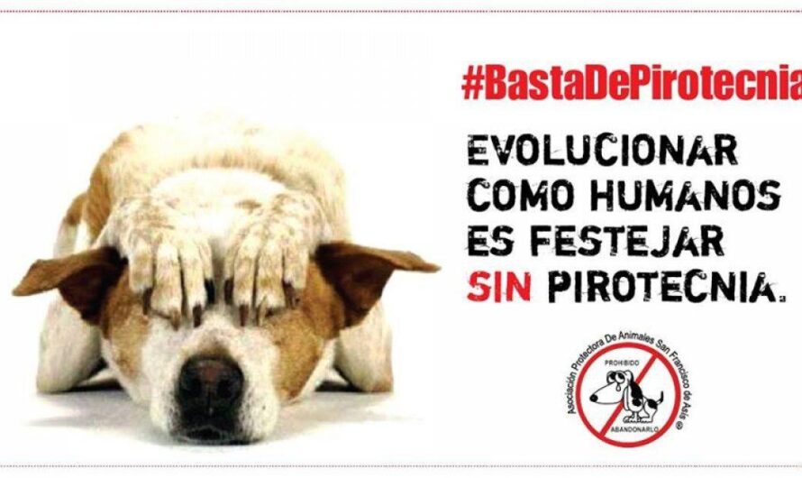 Argentina avanza en la protección animal con la prohibición de la pirotecnia en todo el territorio nacional