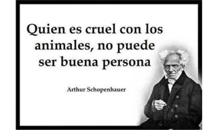 Bolivia unida en defensa de los derechos de los animales: denuncian páginas que promueven la caza y asesinato como entretenimiento