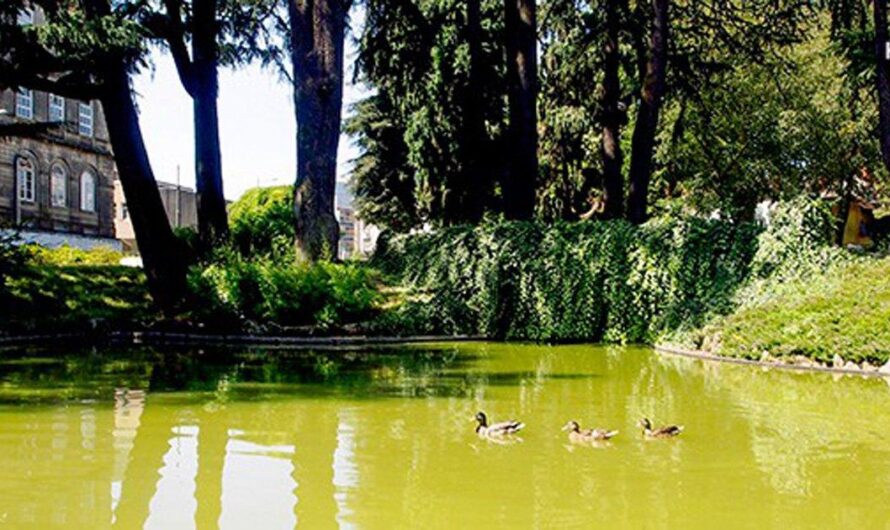El Lago Carregal en Porto, Portugal: de fuente de vida a basural en el Hospital San Antonio