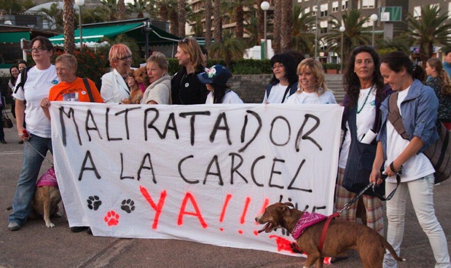 El maltrato animal en España: una realidad preocupante que debe ser abordada