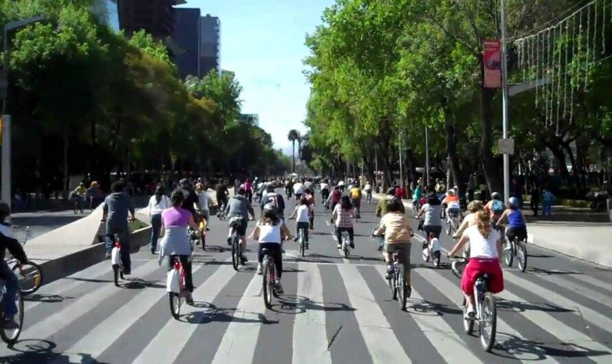 El potencial de la bicicleta como solución para mejorar el transporte público en Australia