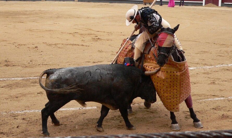 La tauromaquia en debate: la persistente controversia y violencia hacia los toros en nuestro país