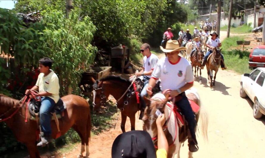 La triste realidad detrás de la colorida tradición de Pirapora: abuso animal en un paseo festivo